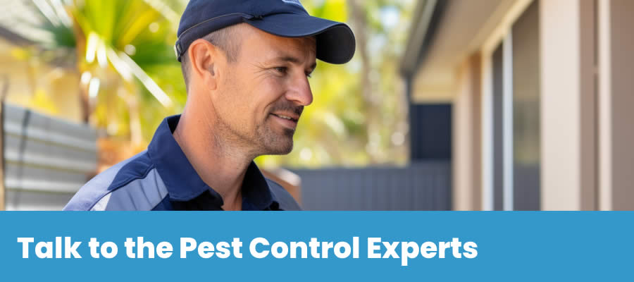 Contact Pro Pest Control Townsville