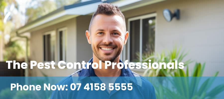 Professional Pest Control Townsville